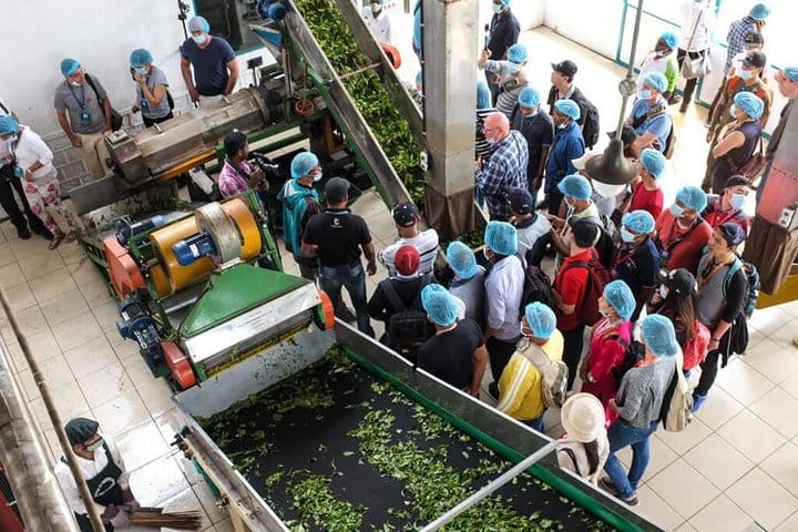 Spice Garden & Tea Factory Group Shore Excursion