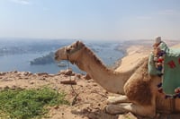 Private Tour Guide &amp; Vehicle in Aswan – Language of Your Choice