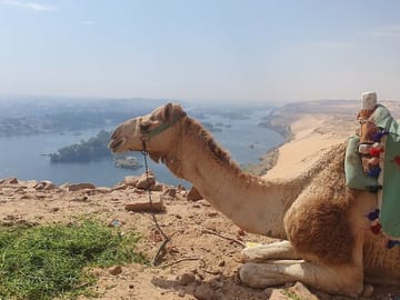 Private Tour Guide & Vehicle in Aswan – Language of Your Choice