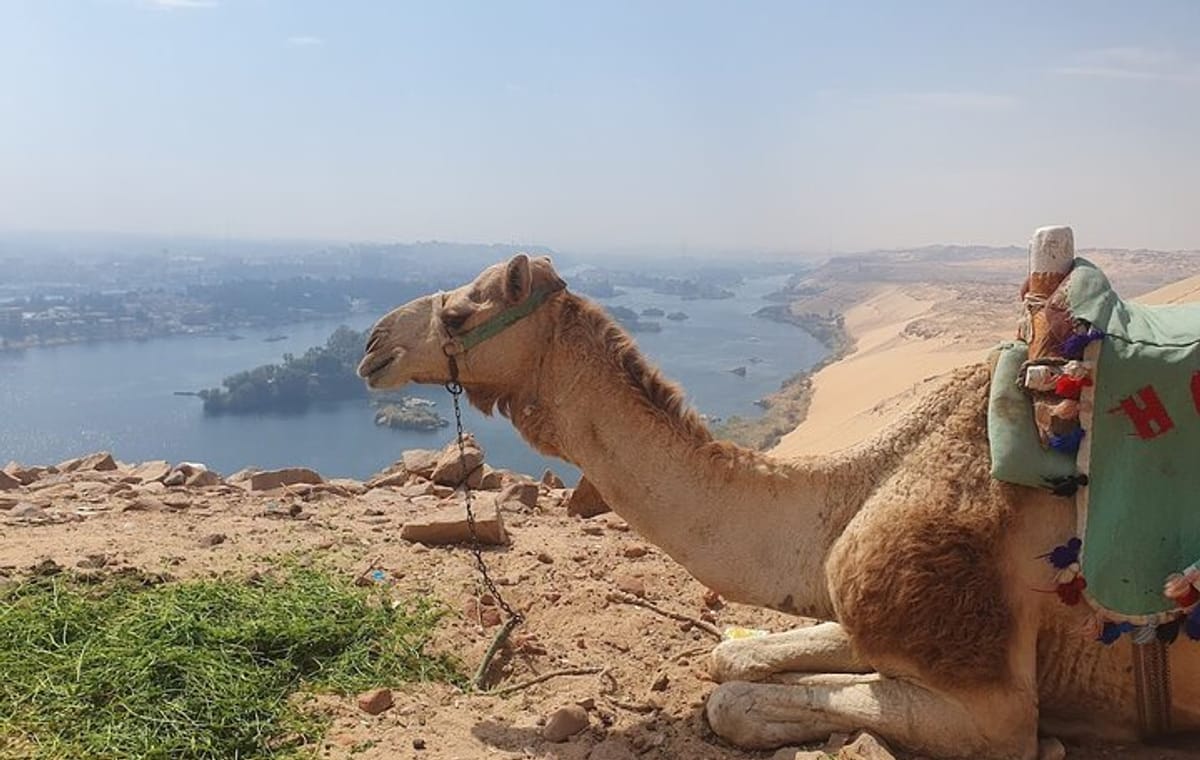Private Tour Guide and Vehicle in Aswan – Language of Your Choice