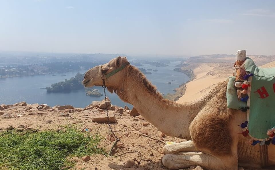 Private Guided ATV Tour in Aswan with Custom Itinerary