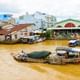 Mekong Delta Full-Day Tour with Sampan Boat Ride and Lunch