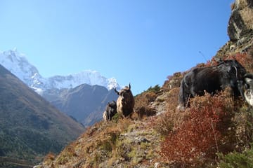 18 Days- Classic Everest Base Camp Trek (without flight)