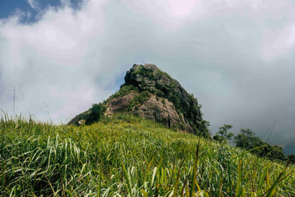 Saradiyel Village Trail And Alagalla Mountain Trekking