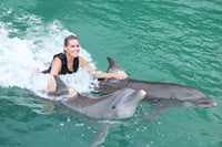 Dolphin Royal Swim at Dolphin Discovery Grand Cayman 4