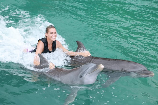 Dolphin Royal Swim at Dolphin Discovery Grand Cayman photo 4