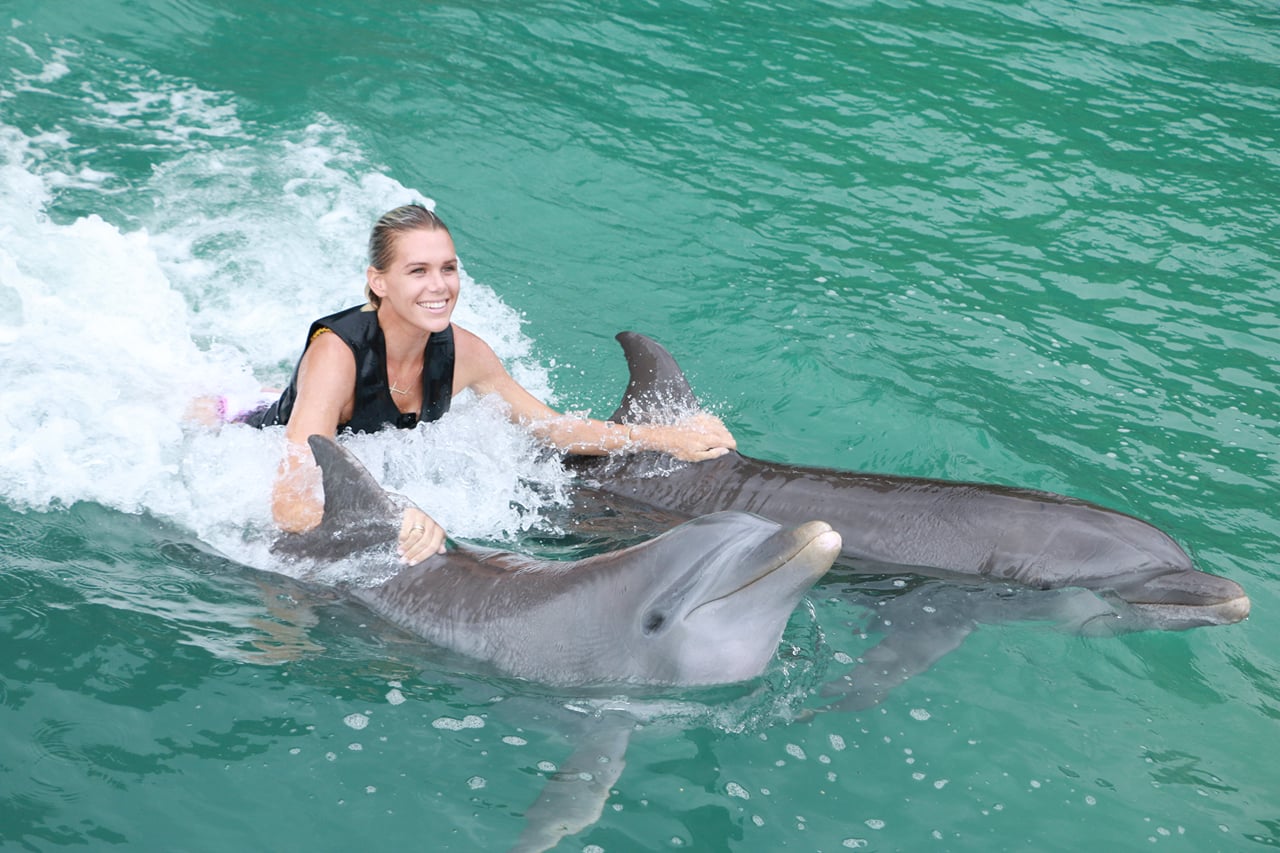 Dolphin Royal Swim at Dolphin Discovery Grand Cayman 4