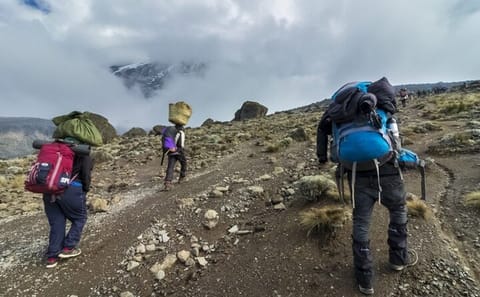 5-Day Trekking Tour on Marangu Route to Mt. Kilimanjaro