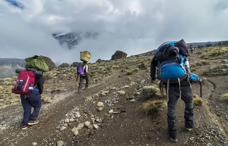 5-Day Trekking Tour on Marangu Route to Mt. Kilimanjaro