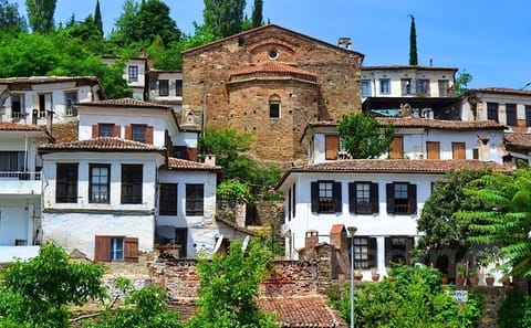 Private Ephesus and Sirince Village Tour from Kusadasi