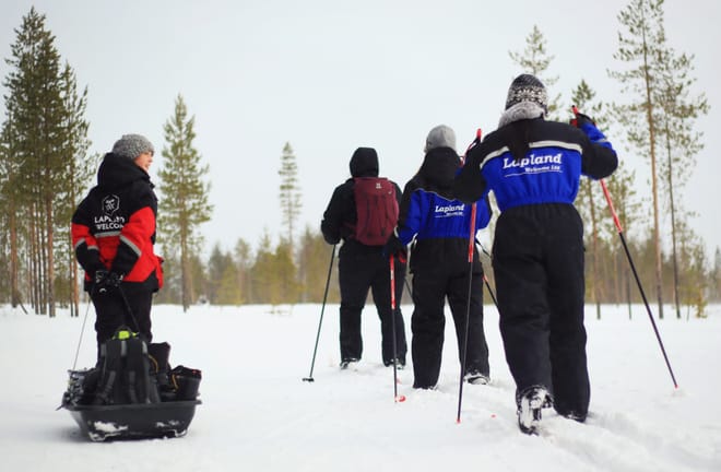 Cross Country Skiing Experience - Rovaniemi photo 6