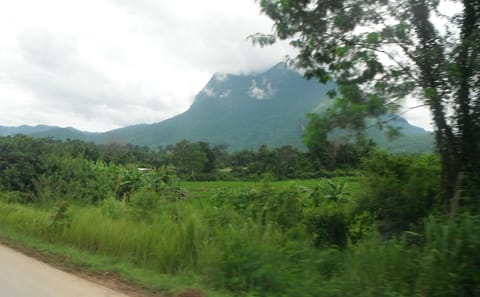 2-Day Kayaking Adventure on Mae Ping River from Chiang Mai