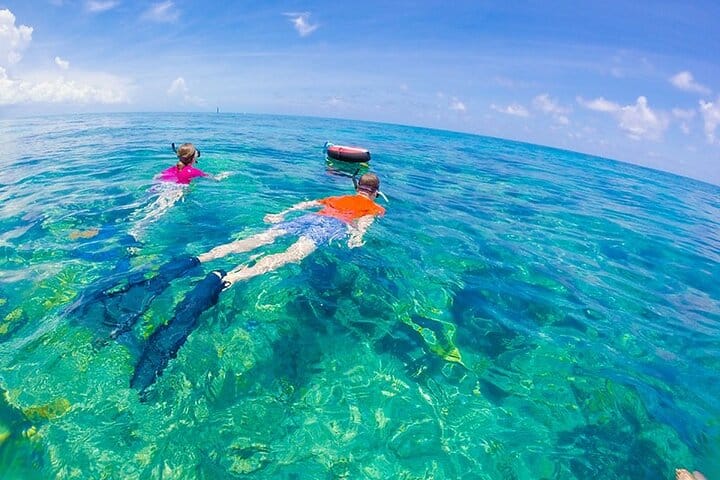 Dolphin House Snorkeling Adventure at Samadai Reef – Marsa Alam