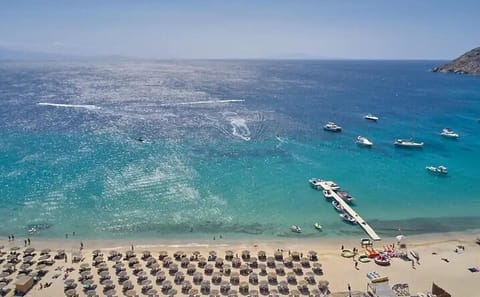 Beach Escape and Mykonos Town Exploration for Cruise Passengers
