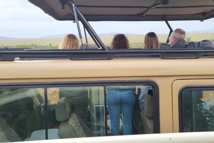 Day Trip To Ol Pejeta Conservancy Rhino And Chimpanzee Sanctuary