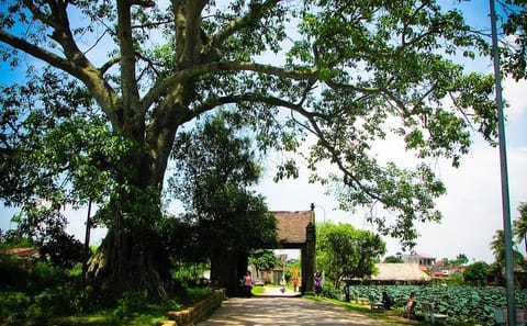 Adventure Hiking Tour in Ha Giang and Ba Be National Park