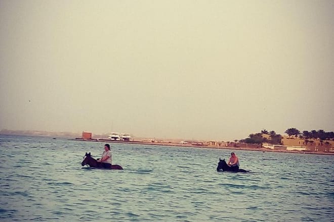 Swimming By Horse in Red Sea, Horse Riding Sea &amp; Desert-Hurghada