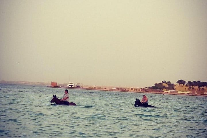 Swimming By Horse in Red Sea, Horse Riding Sea &amp; Desert-Hurghada