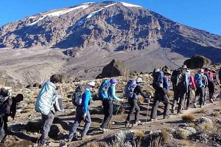 Mount Kenya National Park Scenic Hike and Wildlife Experience