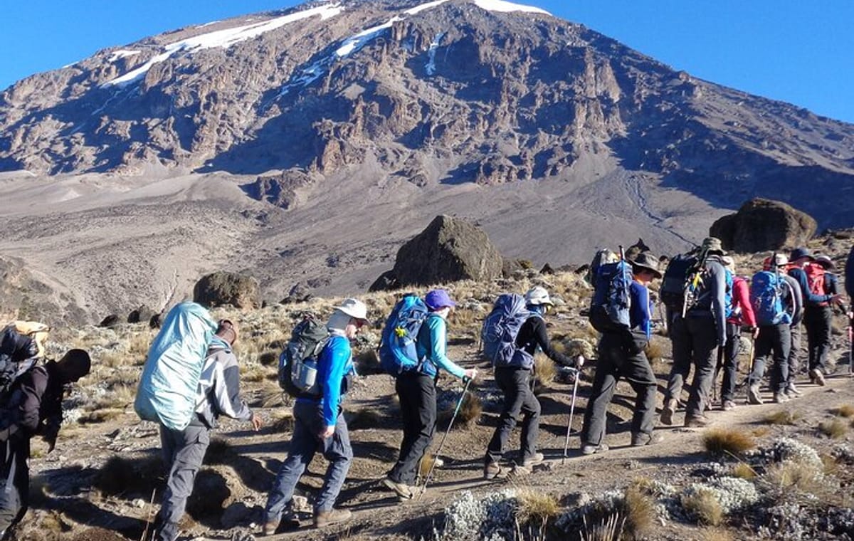 Mount Kenya National Park Full-Day Hike