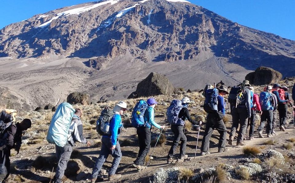 Full-Day Guided Hike in Mount Kenya National Park