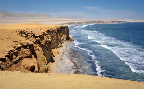 Dunes and Vineyards Tour in Ica and Lima, Peru