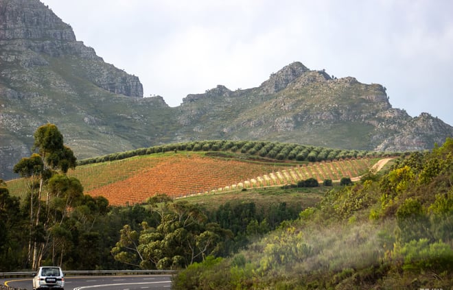 CAPE TOWN  :FULL-DAY  WINE  TASTING TOUR WITH  WINE  TRAM - Photo 3