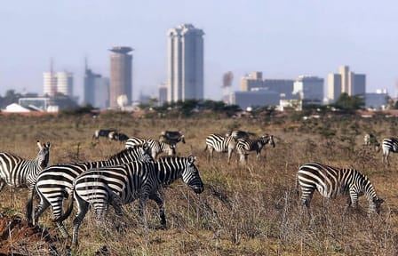 Private Tour in Nairobi Kenya with Dinner at Safari Park Hotel