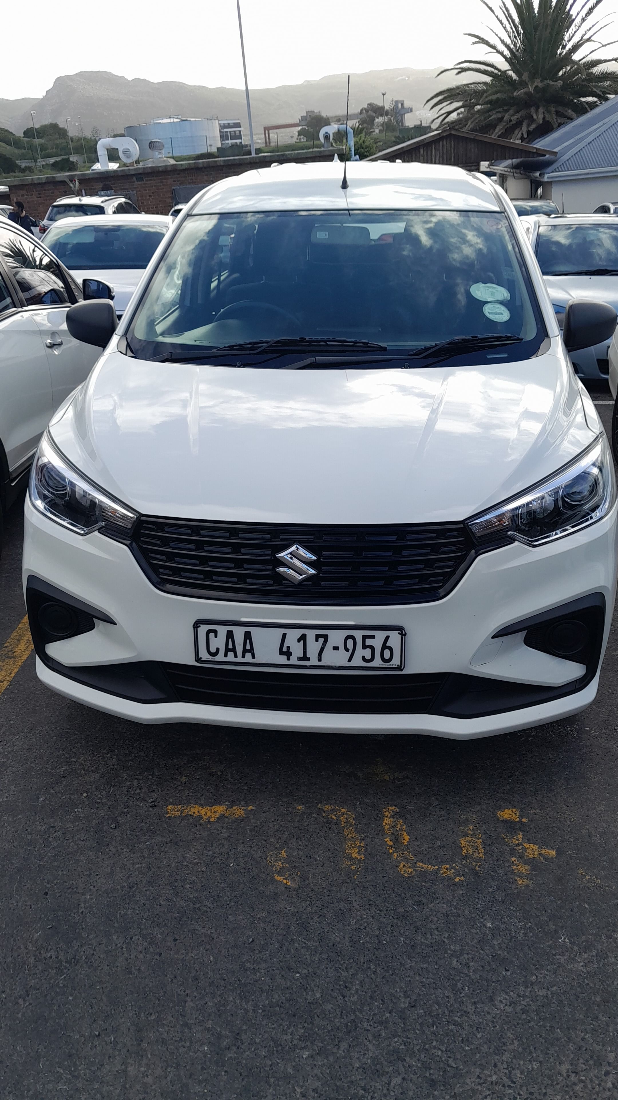 Half day Penguins boulders beach and cape point small Group tour.