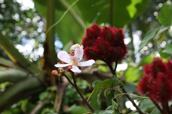 Spice and Fruit Tour