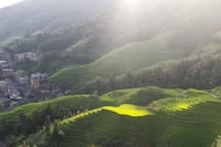 Dazhai Rice Terraces