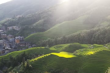 Longji Rice Terraces with Dazhai and Pingan Rice Terraces Tour