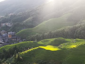 Dazhai Rice Terraces