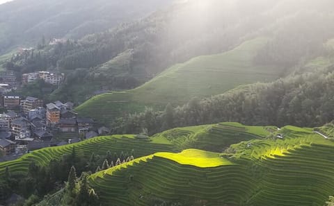Longji Rice Terraces Day Tour in Guilin, China