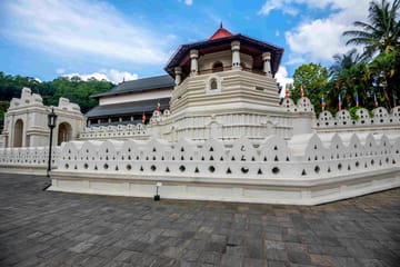 11-Day Cultural and Scenic Tour of Sri Lanka's Highlights