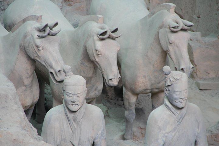 Private Tour: 2-day Xian Trip from Shanghai by Flight