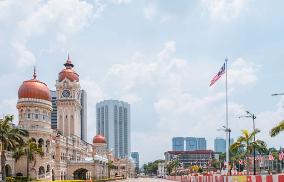 The Great KL City Tour with 21 Attractions and KL Tower (Private)