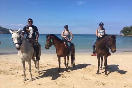 Phuket: Kamala Beach Horse Riding Experience – Scenic Coastal Adventure