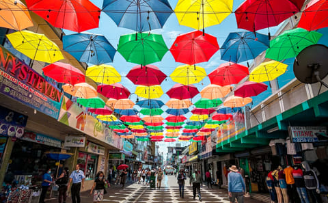 Six-Day Adventure Tour of Costa Rica's Highlights