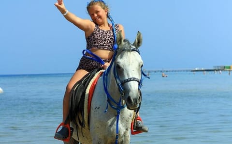 Camel and Horse Riding Tour in Hurghada's Beach or Desert