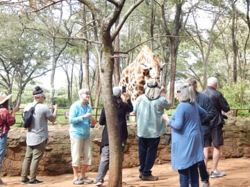 7 Days / 6 Nights – Kenya Safari Holiday Package