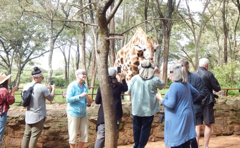 7 Days / 6 Nights – Kenya Safari Holiday Package