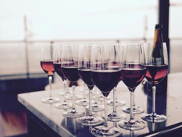 Hermanus Whale Watching and Wine Tasting Day Trip from Cape Town