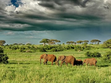 9 Days Unforgettable Tanzania