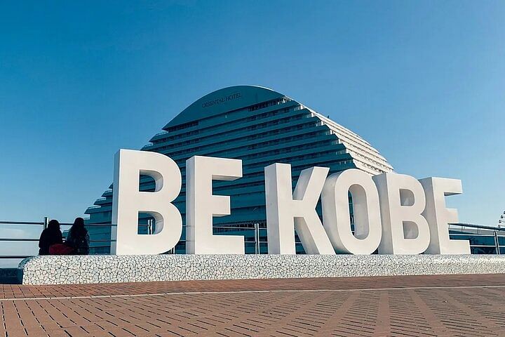 Kobe Culinary Tour with a Chef!