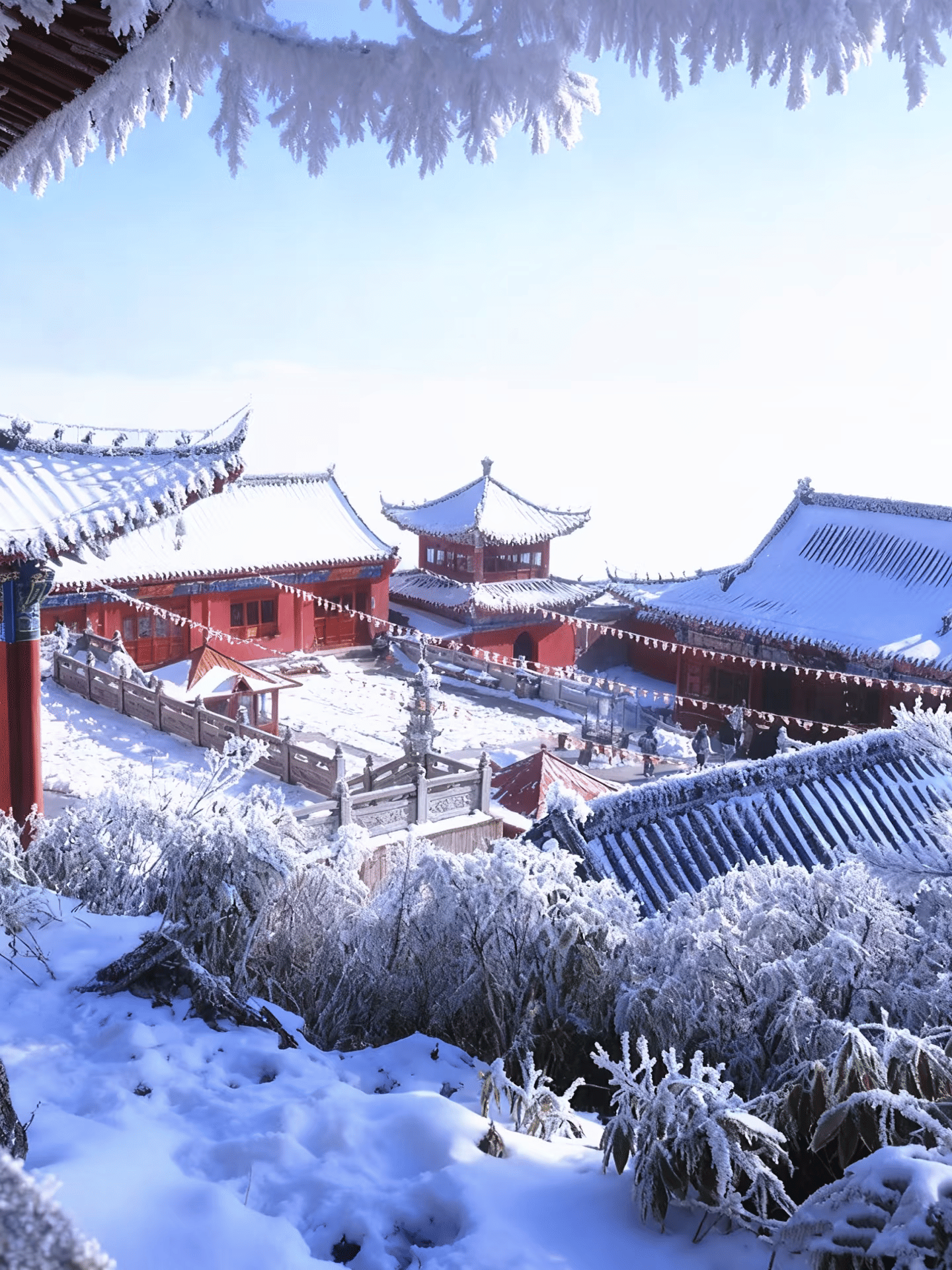 Fanjingshan: A Spiritual Climb Above the Clouds