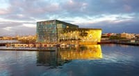 Icelandic Food Tasting & City Walk - Private Tour 5