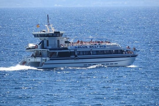 Mallorca Full Day Sailing with Paella