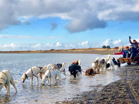 Dog Sledding Near Reykjavik , photo 11