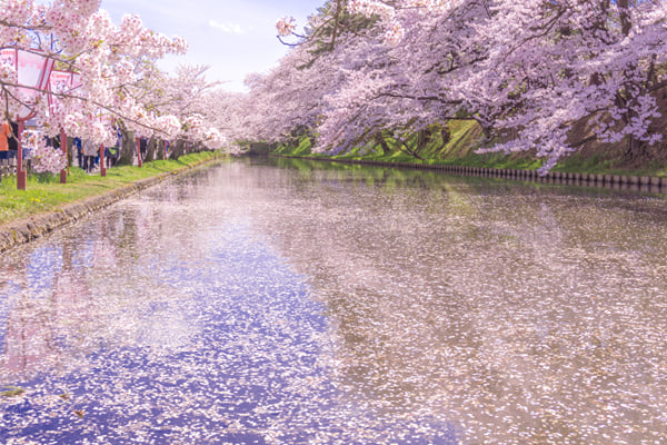 Hirosaki Private Vehicle Service with Restaurant Reservation